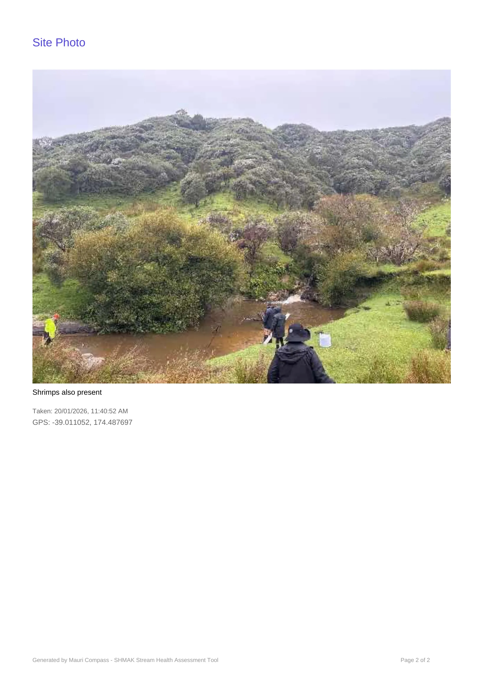 Kaka Road - Riaki's photo