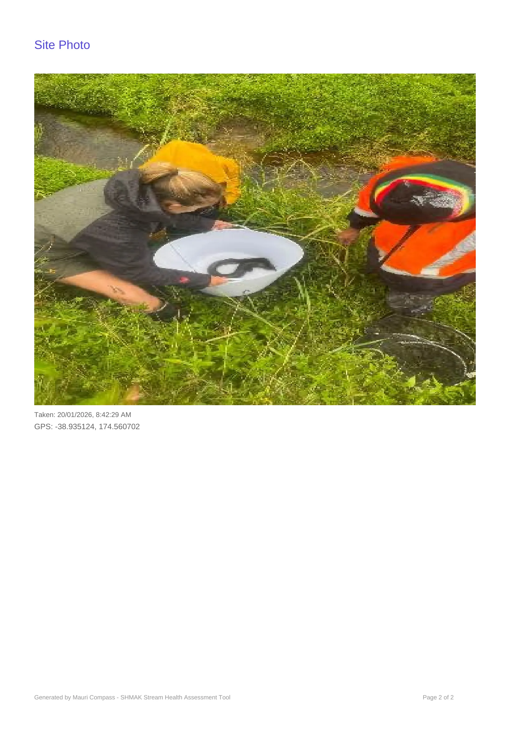 Mangahia - Kahu's photo