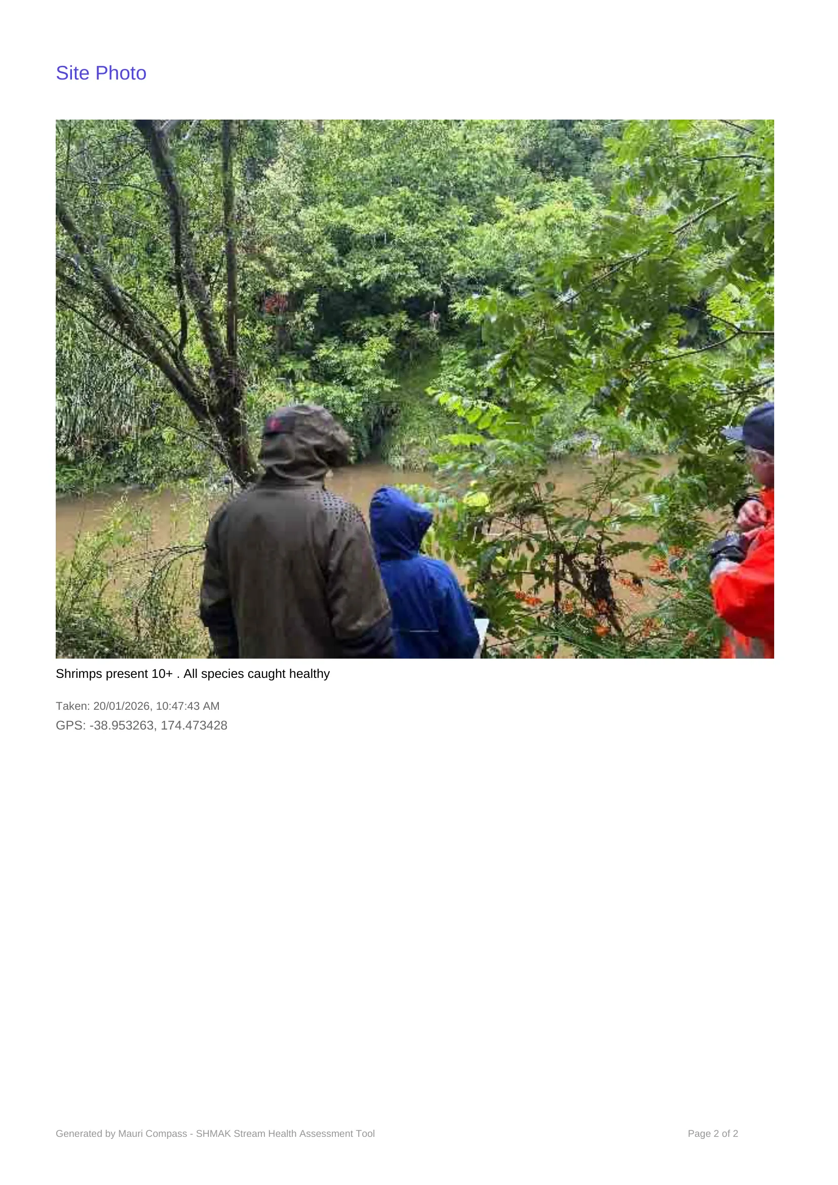 McClutchies - Riaki's photo