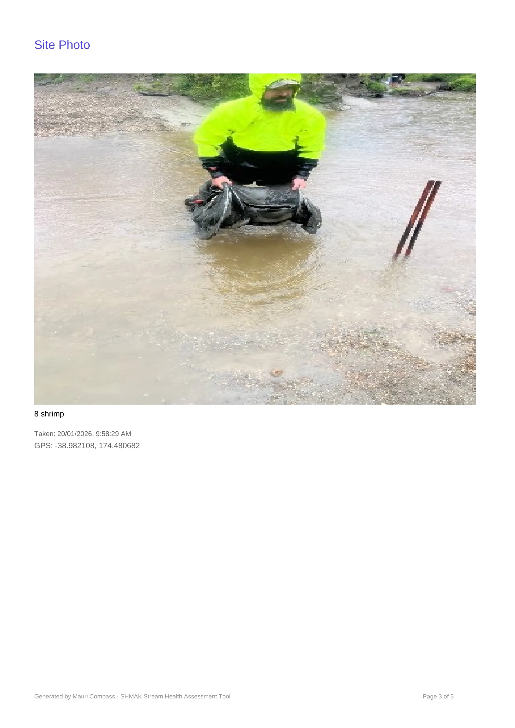 Mimi / Mangamaio - Kahu's photo