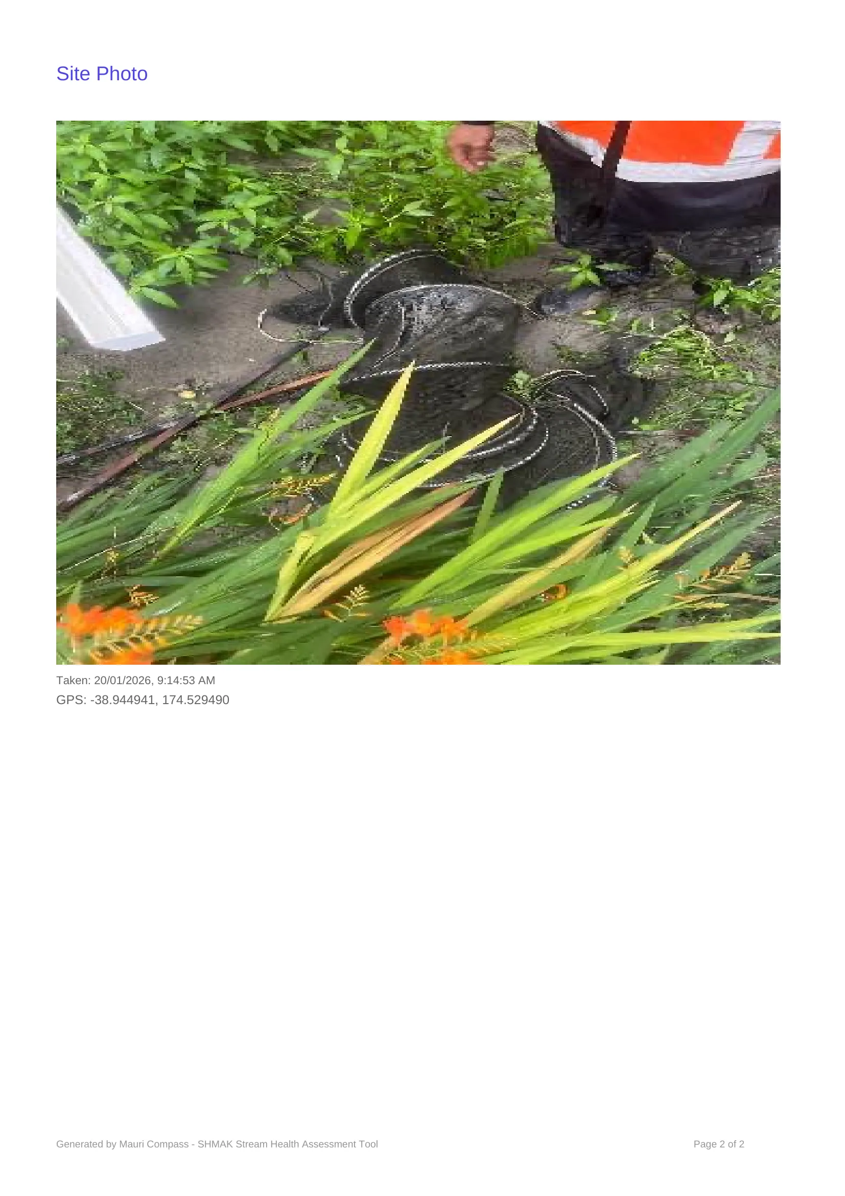 Uruti School - Kahu's photo